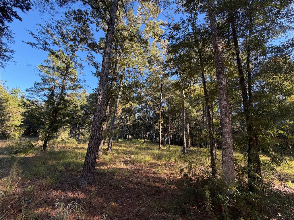 39.38 Branson Road Townsend, GA 31331 - Photo 11 of 21