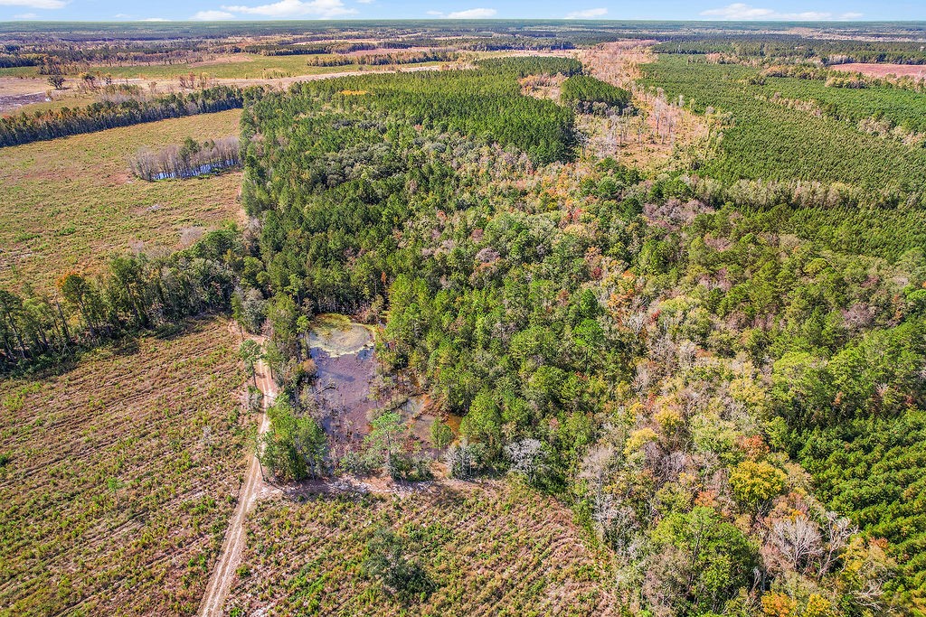 39.38 Branson Road Townsend, GA 31331 - Photo 13 of 21