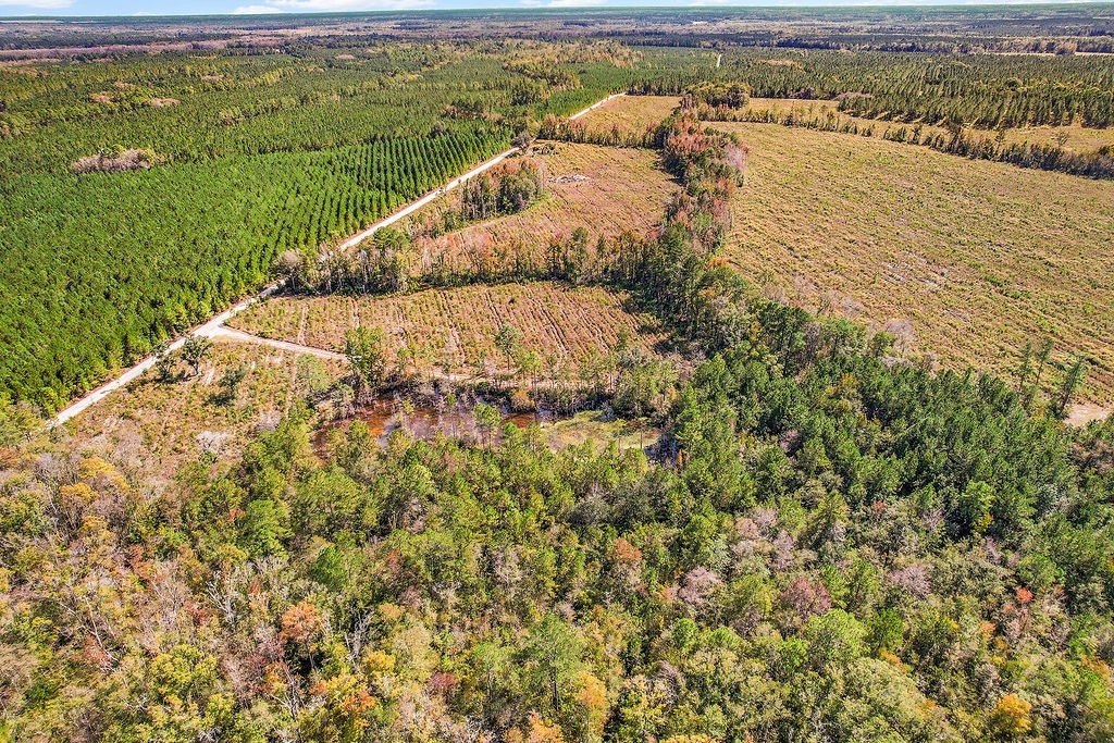 39.38 Branson Road Townsend, GA 31331 - Photo 14 of 21