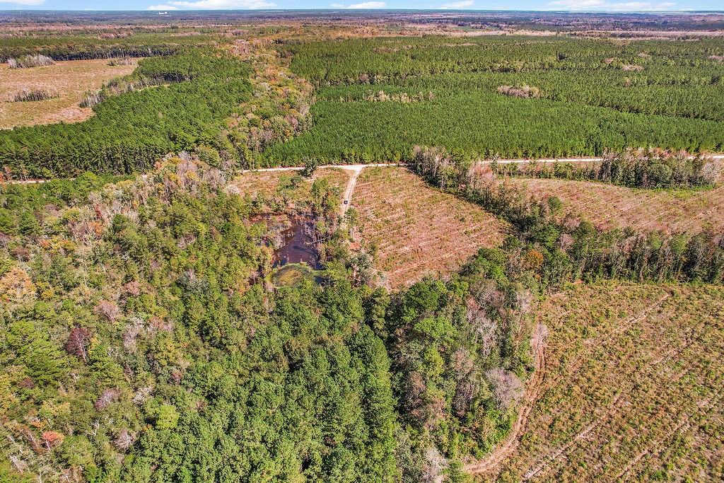 39.38 Branson Road Townsend, GA 31331 - Photo 15 of 21