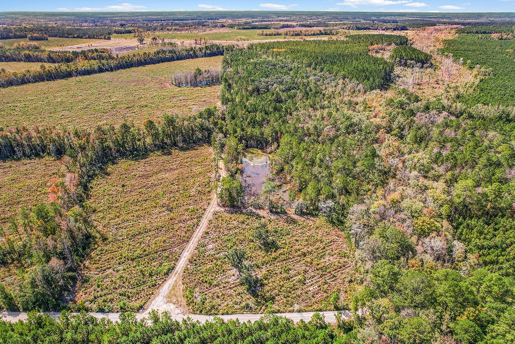 39.38 Branson Road Townsend, GA 31331 - Photo 16 of 21