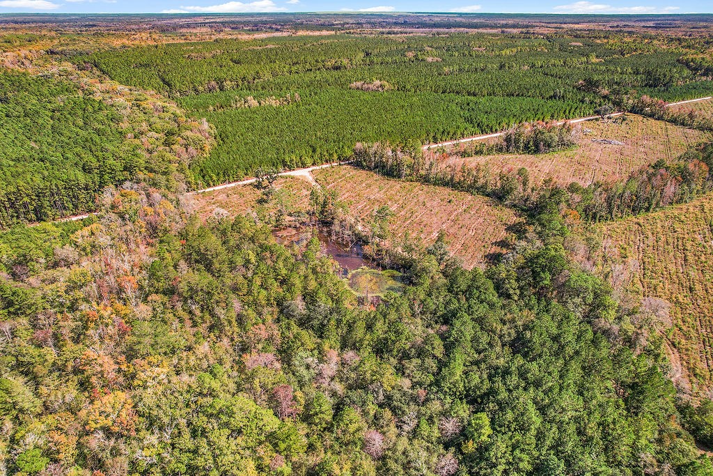 39.38 Branson Road Townsend, GA 31331 - Photo 17 of 21