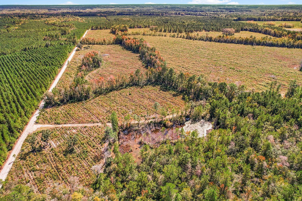 39.38 Branson Road Townsend, GA 31331 - Photo 18 of 21