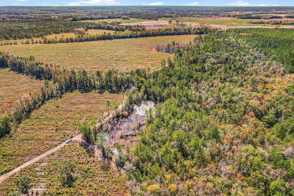 39.38 Branson Road Townsend, GA 31331 - Photo 19 of 21