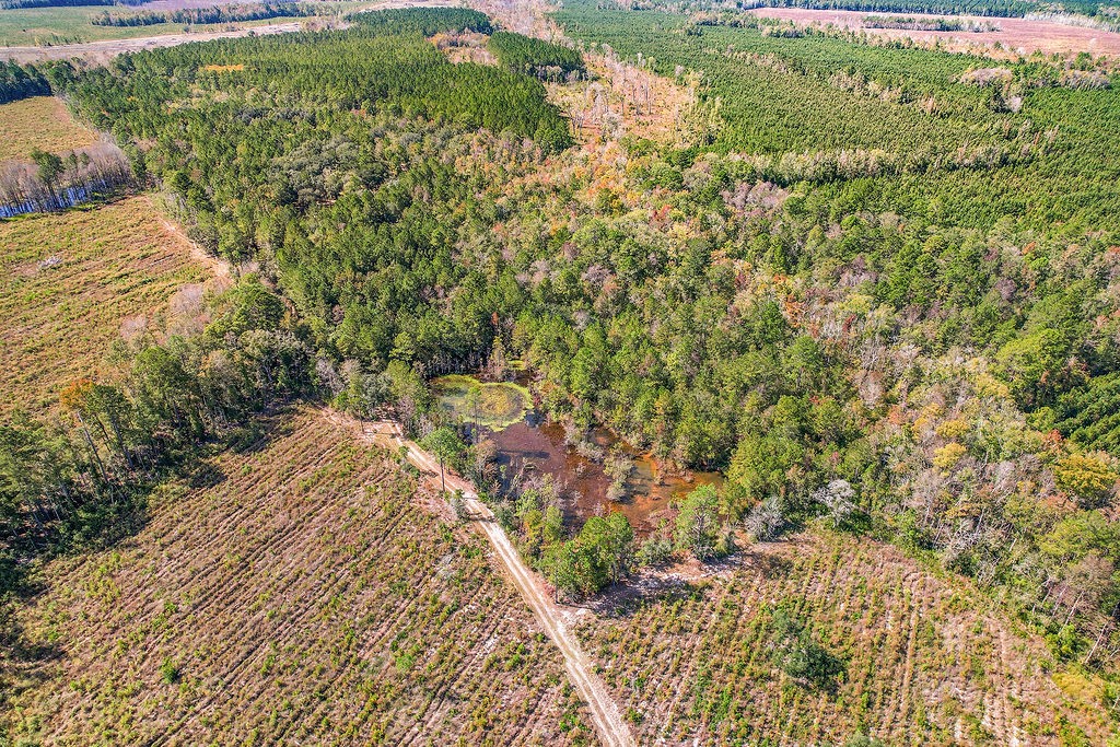 39.38 Branson Road Townsend, GA 31331 - Photo 20 of 21