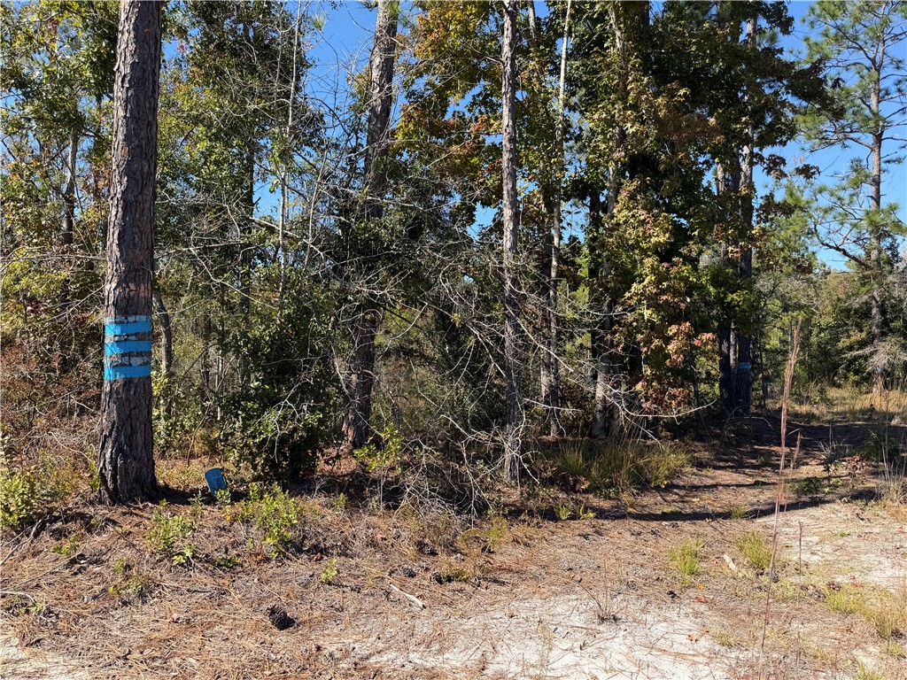 39.38 Branson Road Townsend, GA 31331 - Photo 2 of 21