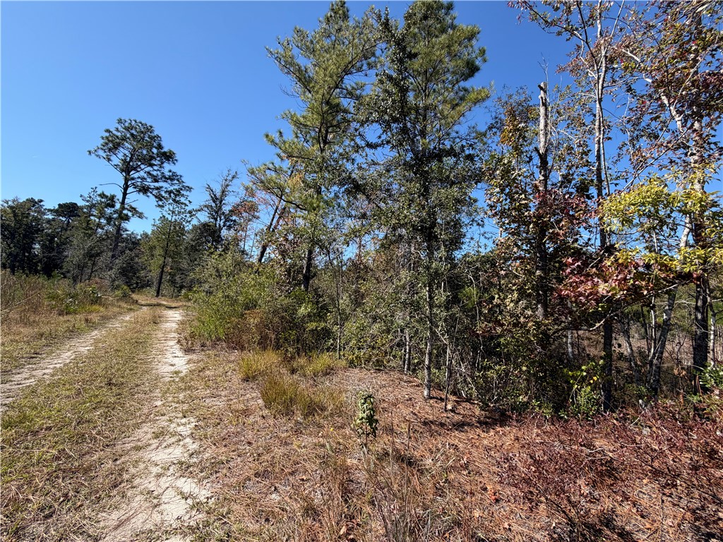 39.38 Branson Road Townsend, GA 31331 - Photo 4 of 21