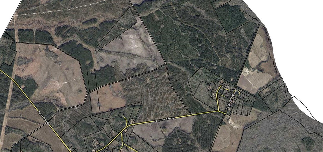 39.38 Branson Road Townsend, GA 31331 - Photo 6 of 21