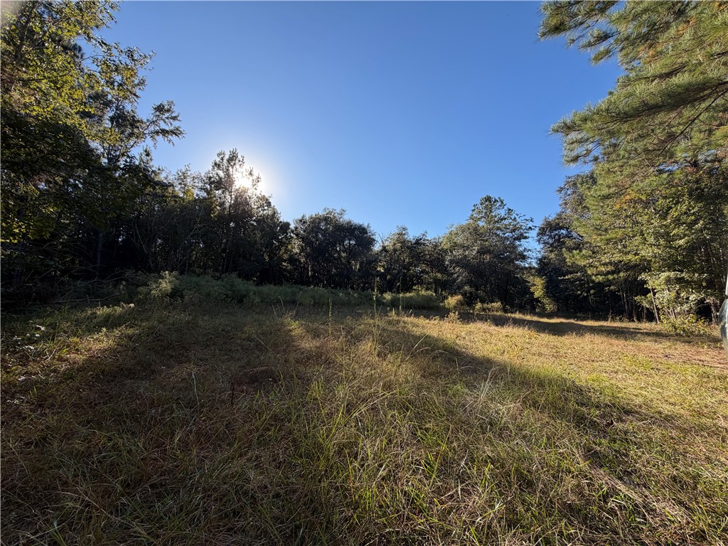 39.38 Branson Road Townsend, GA 31331 - Photo 8 of 21