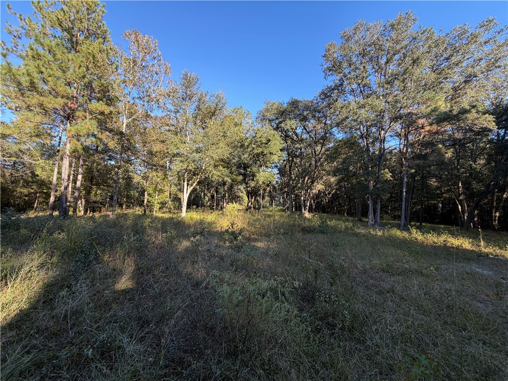 39.38 Branson Road Townsend, GA 31331 - Photo 10 of 21