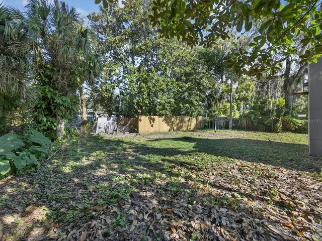 a view of a tree in a park
