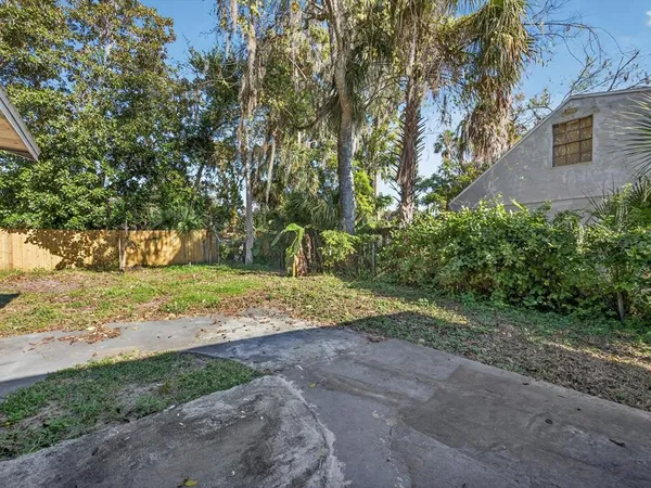 a view of a yard with plants and trees