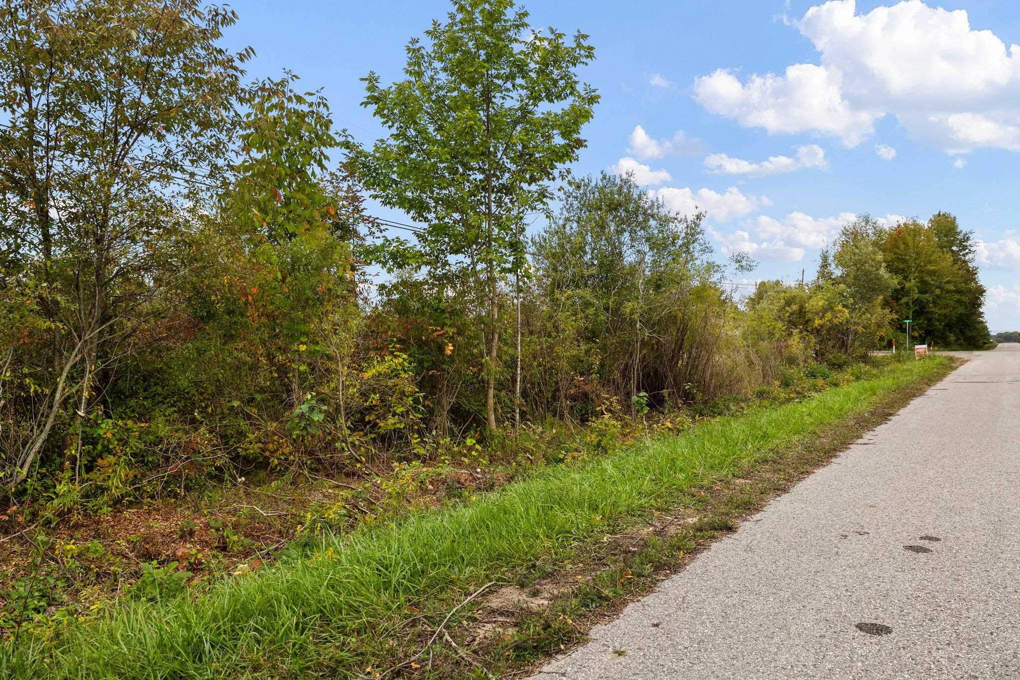 Lot 5 Sutter Road, Unit LOT: 5 Kewadin, MI 49648 - Photo 9 of 41 Gallery Image 9