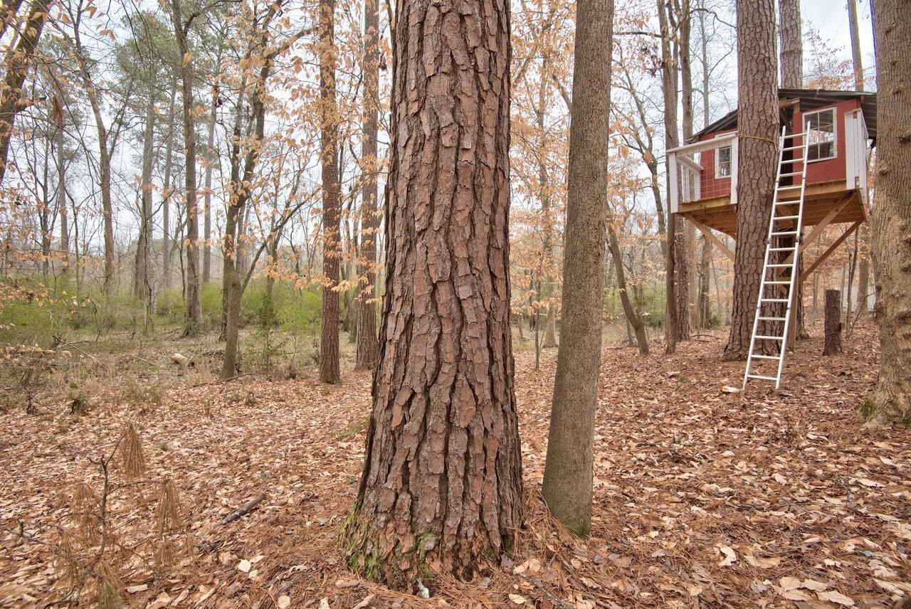 3563 Hamstead Court Durham, NC 27707 - Photo 36 of 37 a backyard of a house with lots of green space