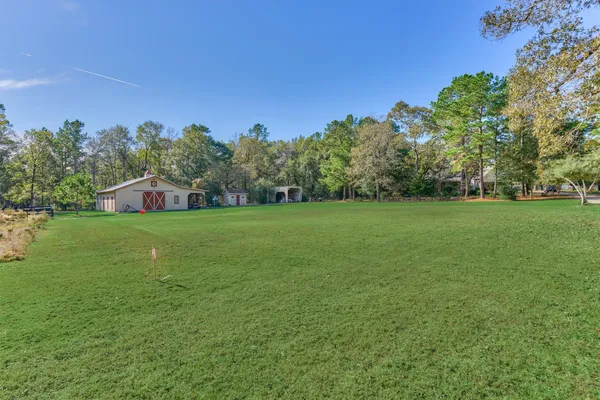 a view of yard with green space