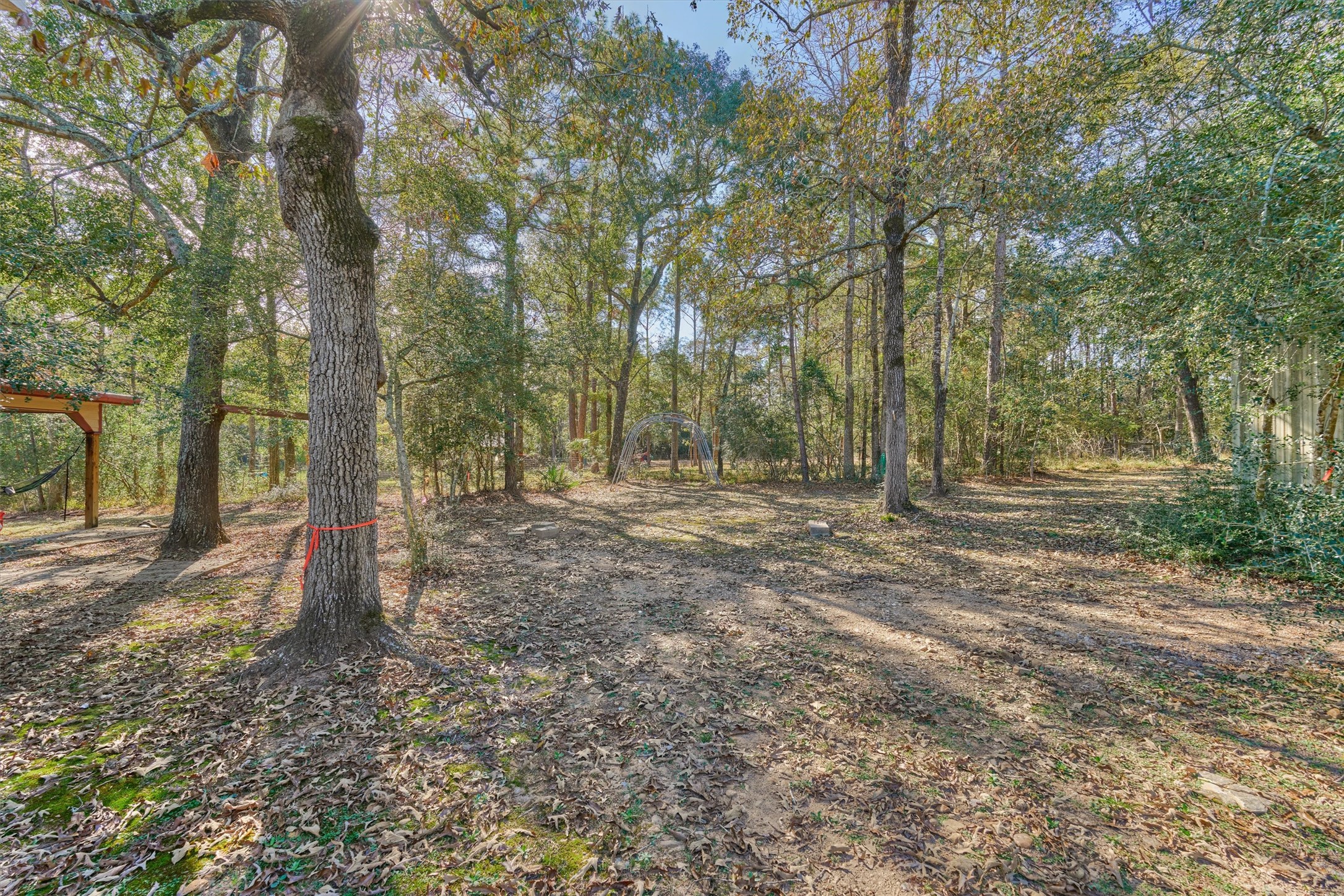 0 Koenig Lane Conroe, TX 77384 - Photo 9 of 19 Wooded expanse offers uninterrupted views of nature!