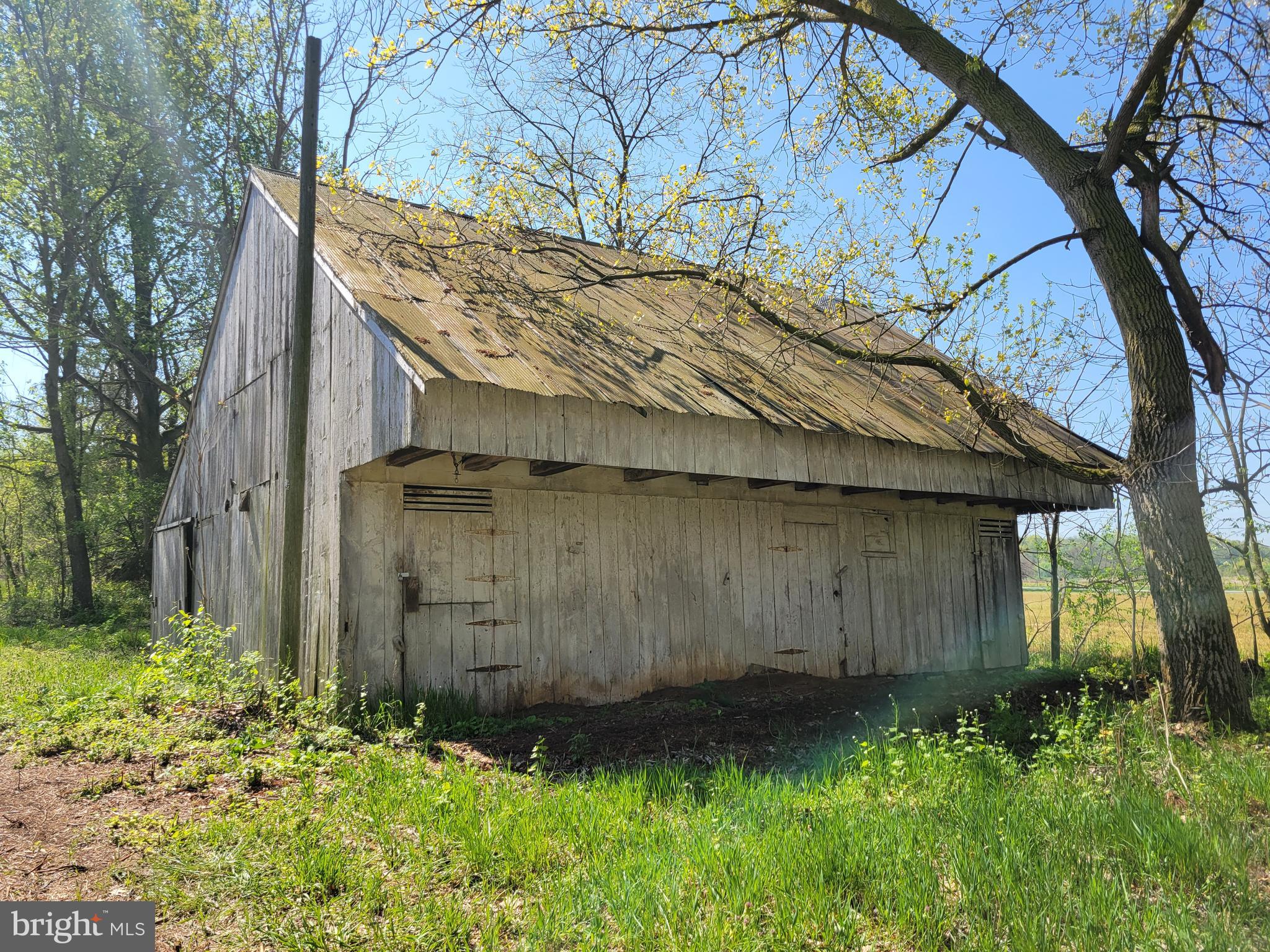 Gallery Image 6