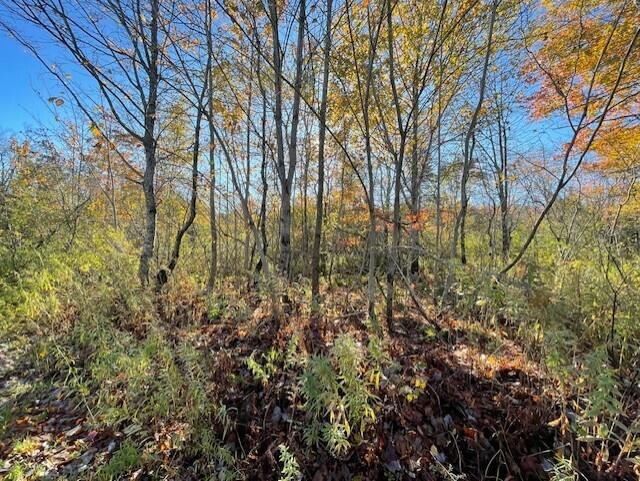 0 Maker Cove Road Owls Head, ME 04854 - Photo 2 of 12 thumbnail_IMG_6686