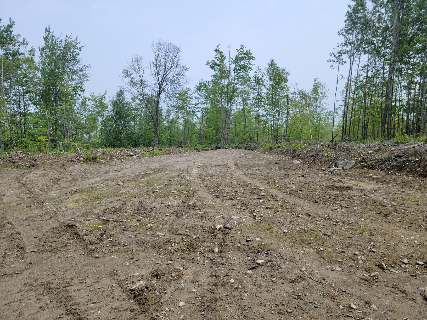 0 Owen Mann Road Farmington, ME 04938 - Photo 10 of 11 Wood yard
