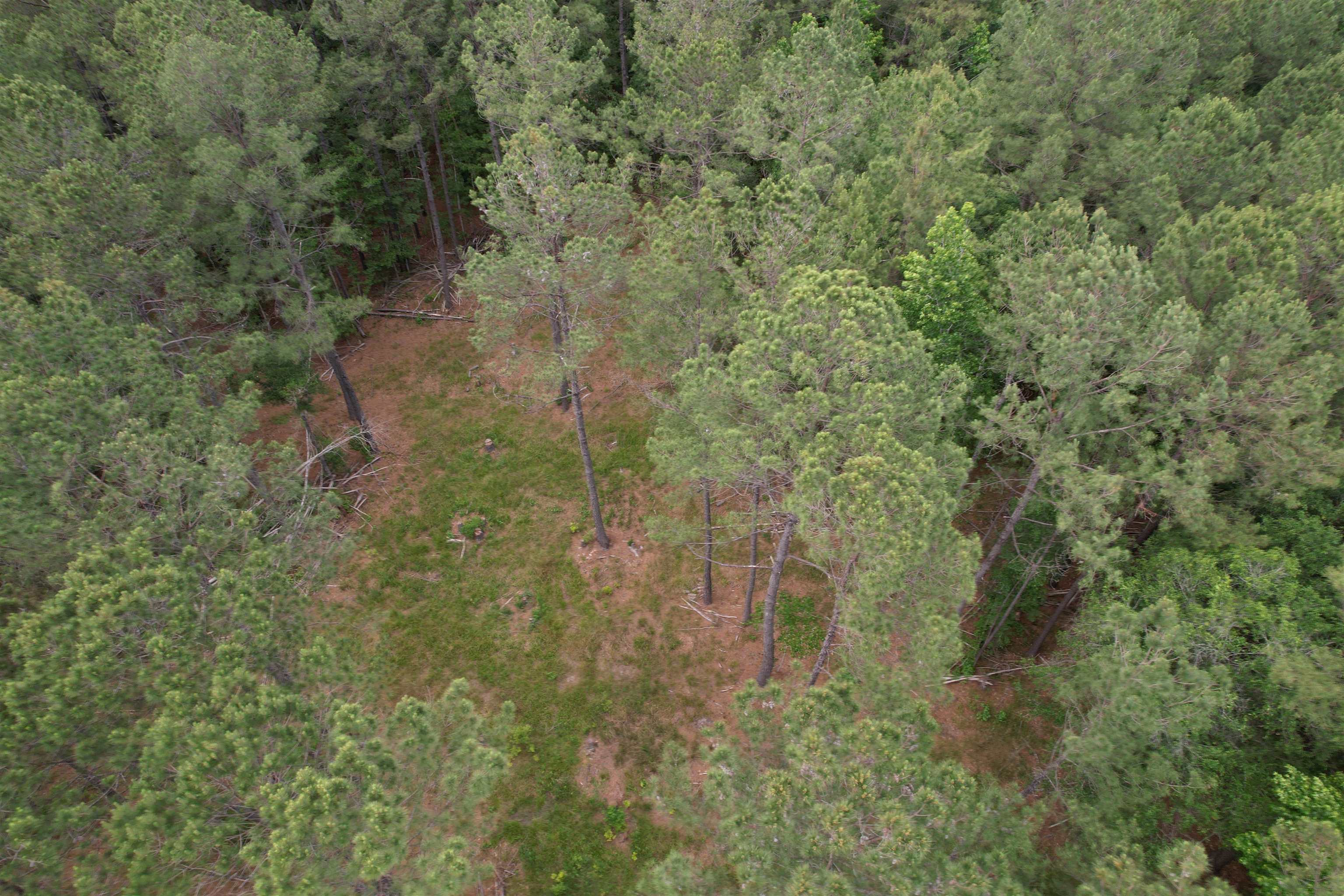 5871 Pennyroyal Road Georgetown, SC 29440 - Photo 9 of 15