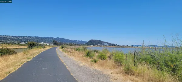 a view of a lake with a mountain in the background
