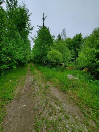 $35,000 | 0 Mill Street, Princeton, ME 04668