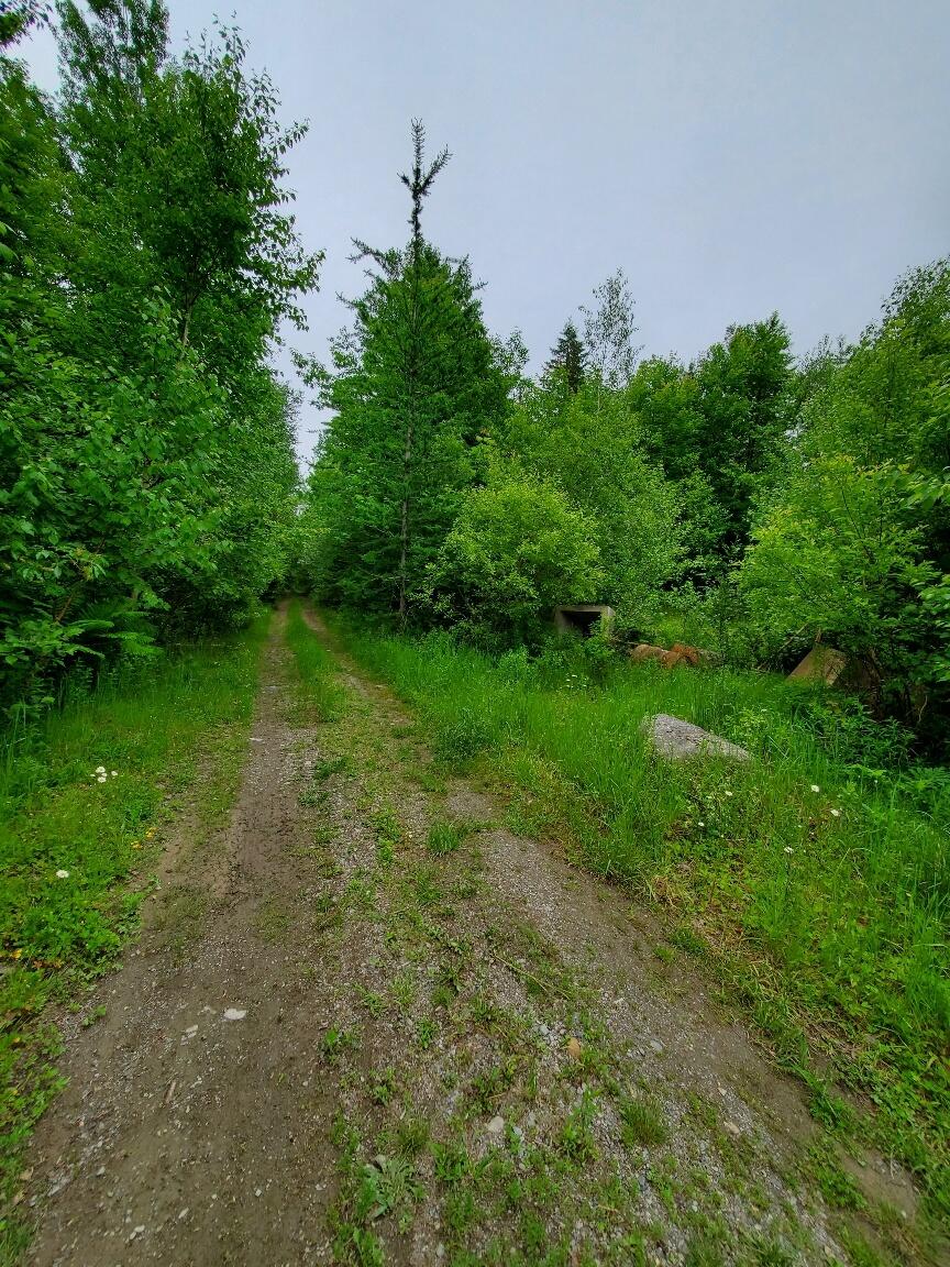 0 Mill Street Princeton, ME 04668 - Photo 2 of 19 non-town maintained Mill St