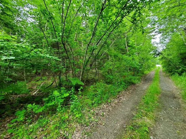 $35,000 | 0 Mill Street, Princeton, ME 04668