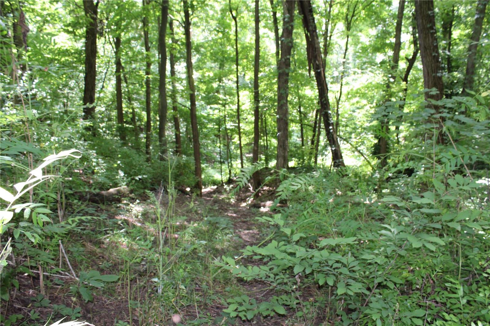 7150 Bluff Road Prairie du Rocher, IL 62277 - Photo 22 of 25