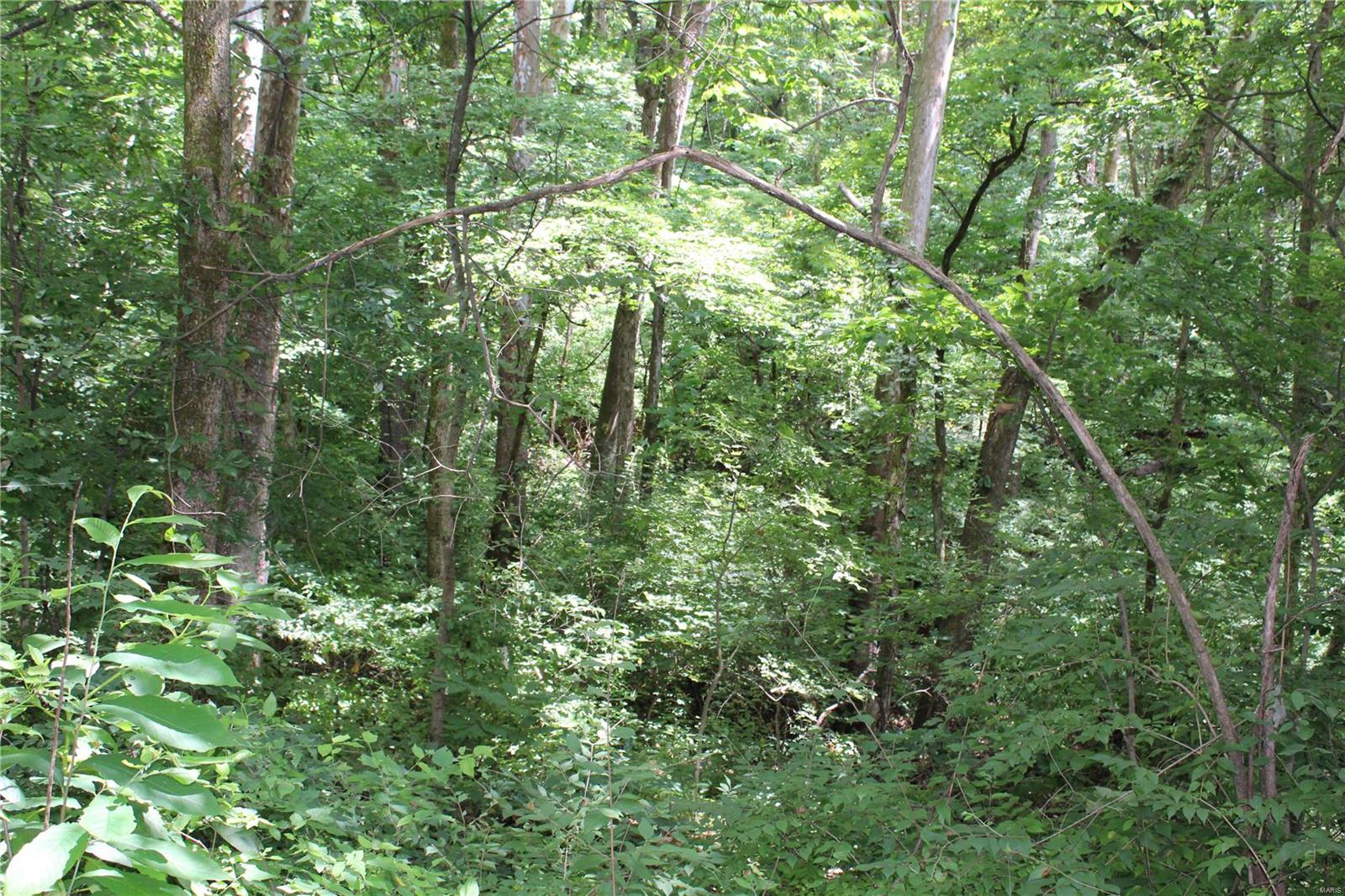 7150 Bluff Road Prairie du Rocher, IL 62277 - Photo 23 of 25