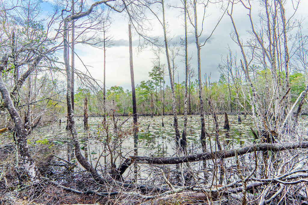 359 Wayne Trail Santa Rosa Beach, FL 32459 - Photo 4 of 35 Backyard