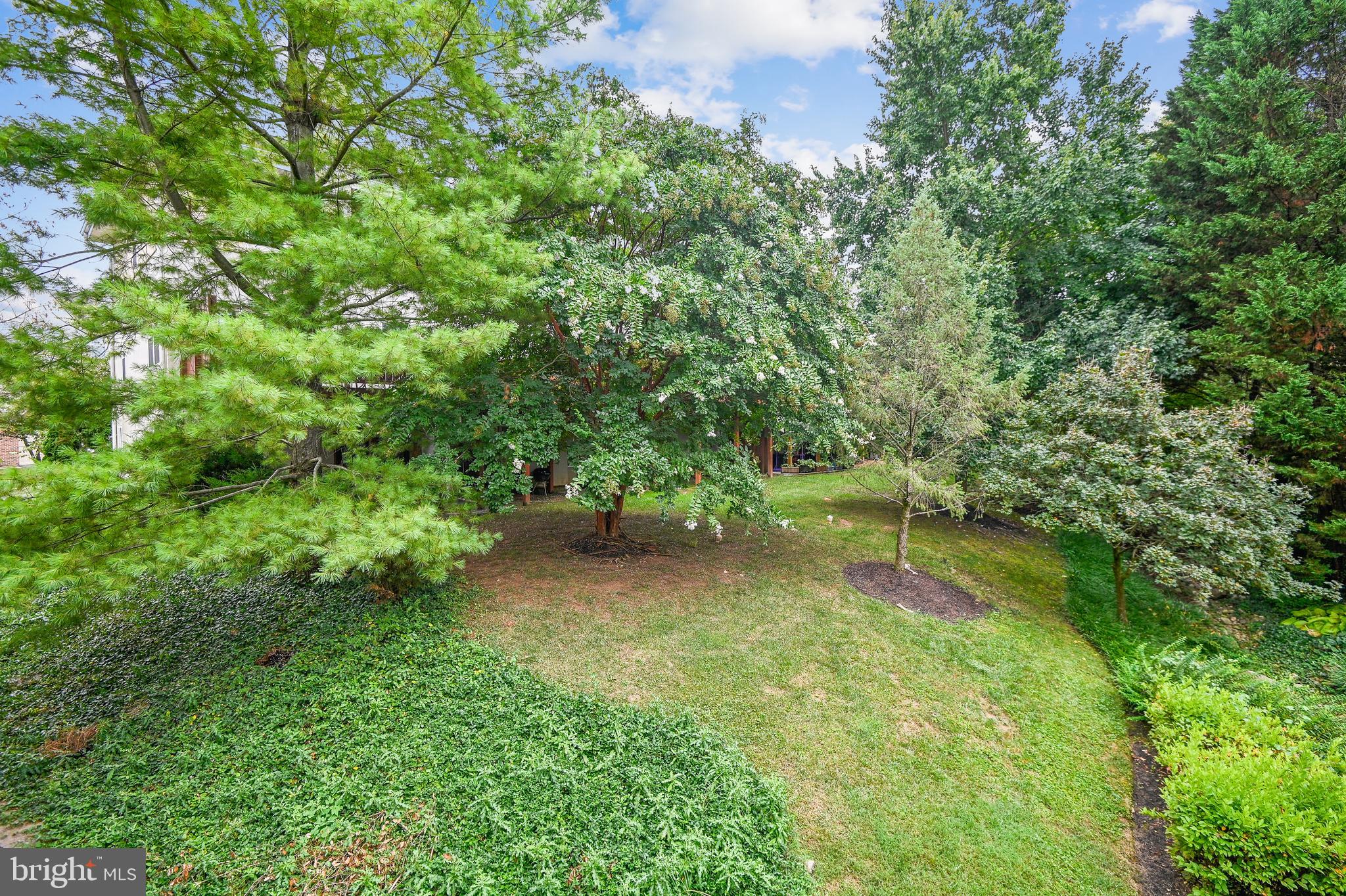 403 Chadford Road Baltimore, MD 21212 - Photo 35 of 41 The deck overlooks a beautiful green space