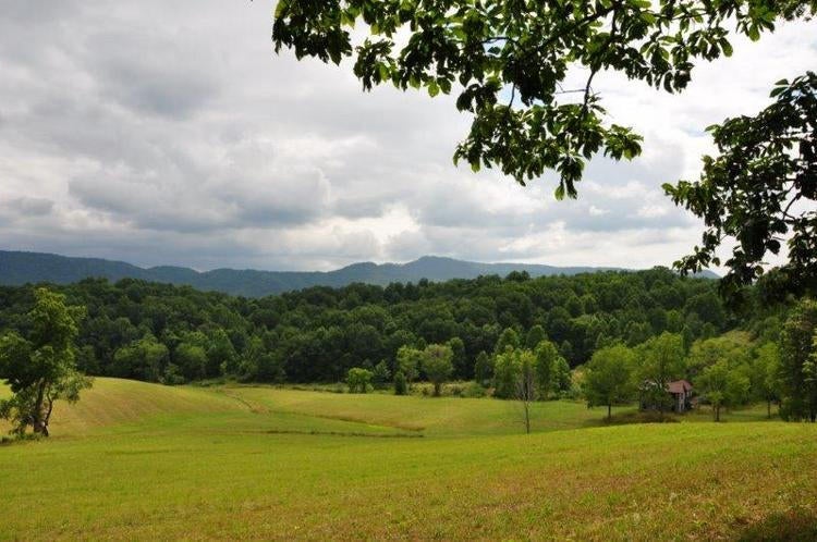 44 Duncan Branch Road Meadow Bridge, WV 25976 - Photo 14 of 35 Gallery Image 14