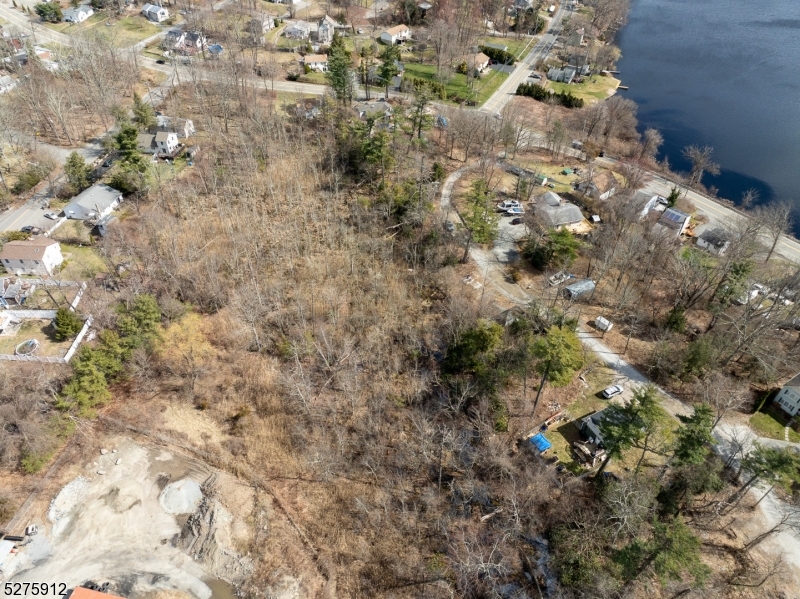 6 Florence Road West Milford, NJ 07421 - Photo 10 of 27 a view of a forest with a tree