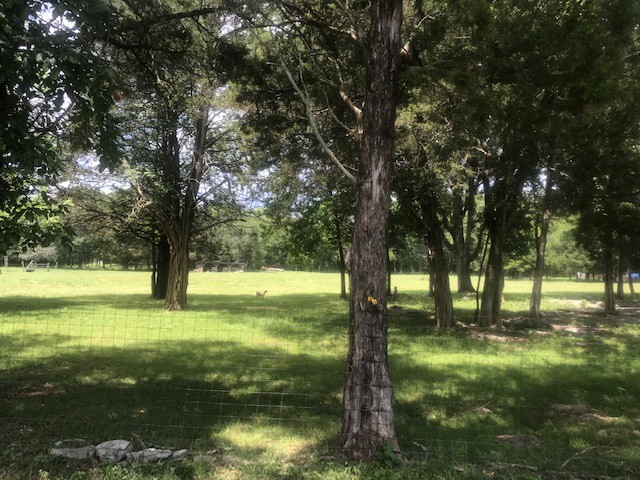 0 Hebron Road Lebanon, TN 37090 - Photo 14 of 26