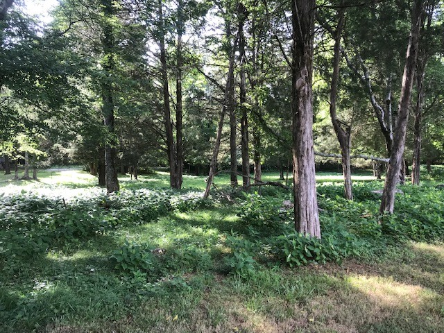 0 Hebron Road Lebanon, TN 37090 - Photo 19 of 26