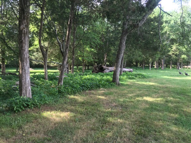 0 Hebron Road Lebanon, TN 37090 - Photo 20 of 26