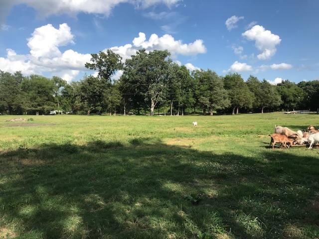 0 Hebron Road Lebanon, TN 37090 - Photo 2 of 26