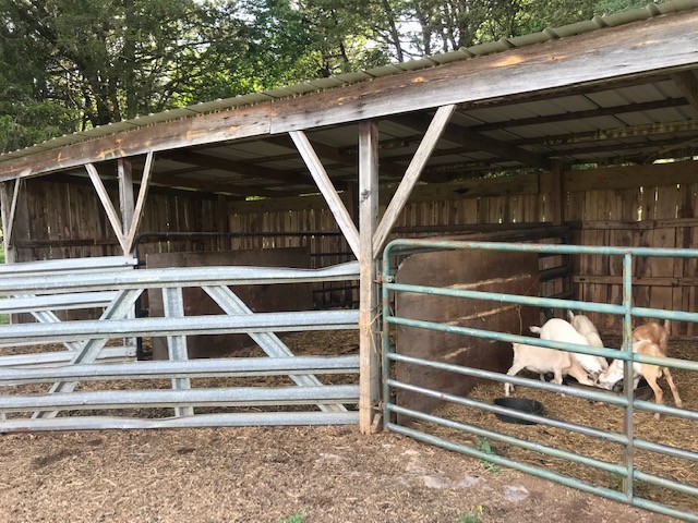 0 Hebron Road Lebanon, TN 37090 - Photo 23 of 26