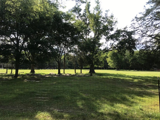 0 Hebron Road Lebanon, TN 37090 - Photo 8 of 26