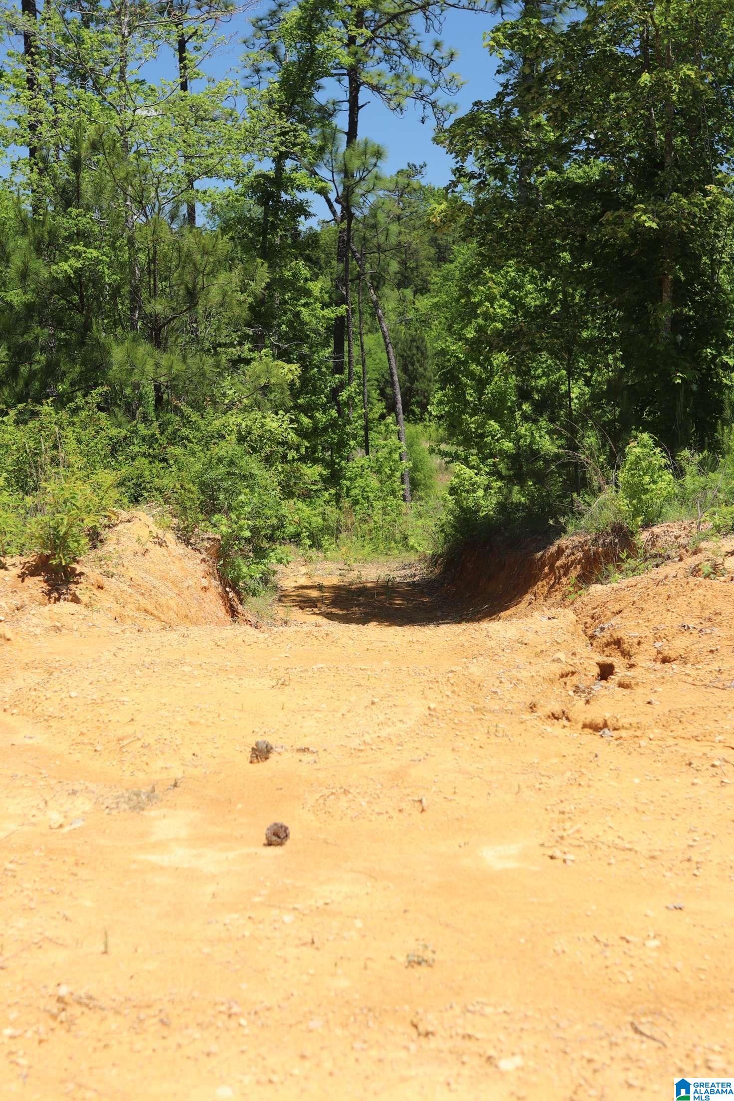 2930 Shocco Springs Road Talladega, AL 35160 - Photo 23 of 93