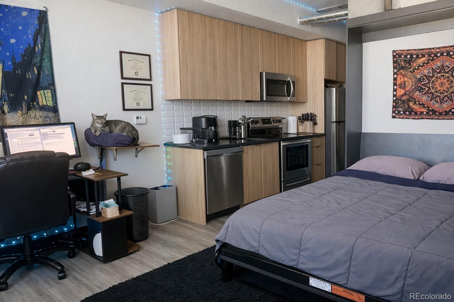 603 Inca Street, Unit 516 Denver, CO 80204 - Photo 13 of 16