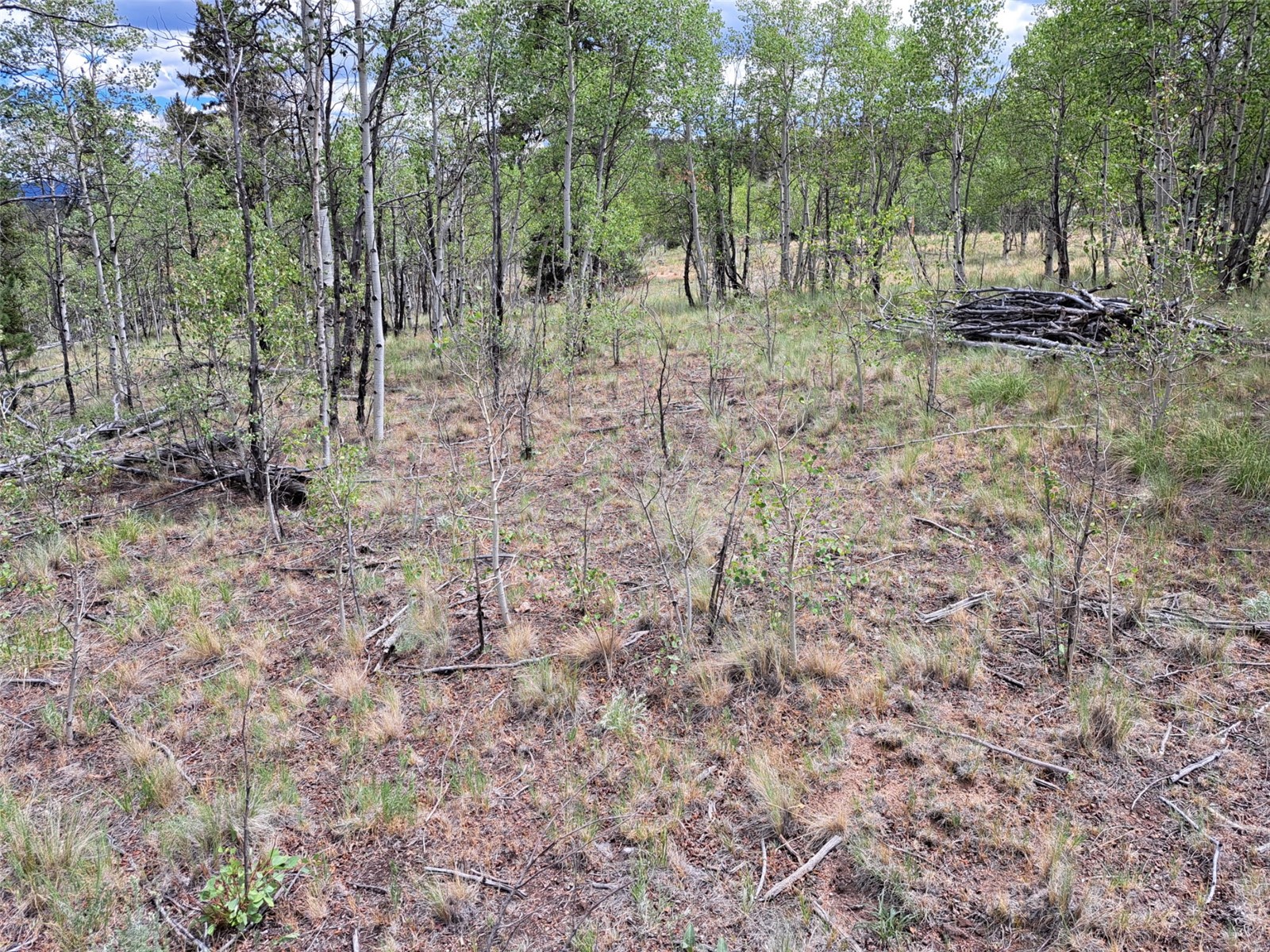 6242 Remington Road Como, CO 80432 - Photo 8 of 26 Gallery Image 8