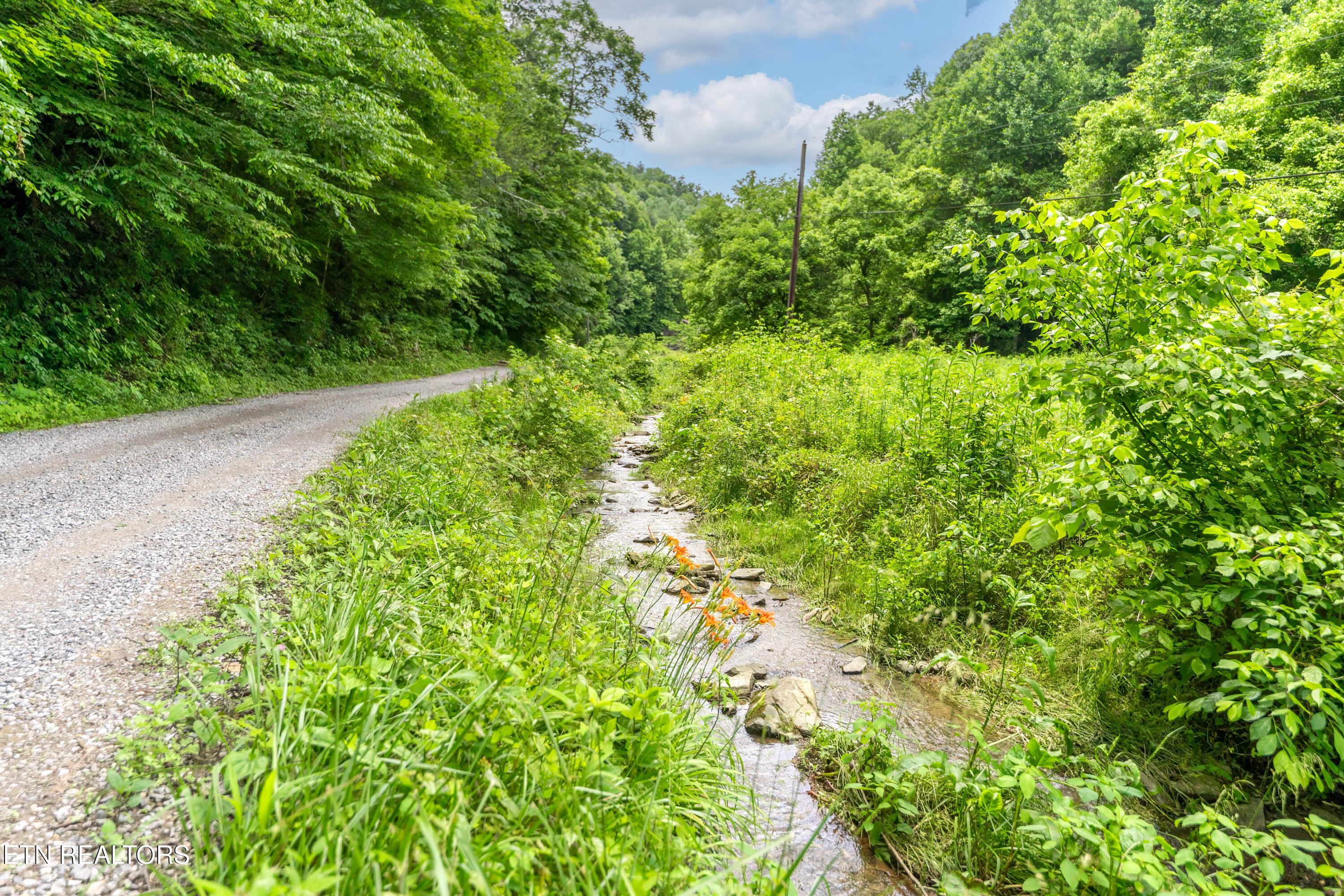 Johns Creek Road Del Rio, TN 37727 - Photo 7 of 17 _DSC3678-Edit-Edit