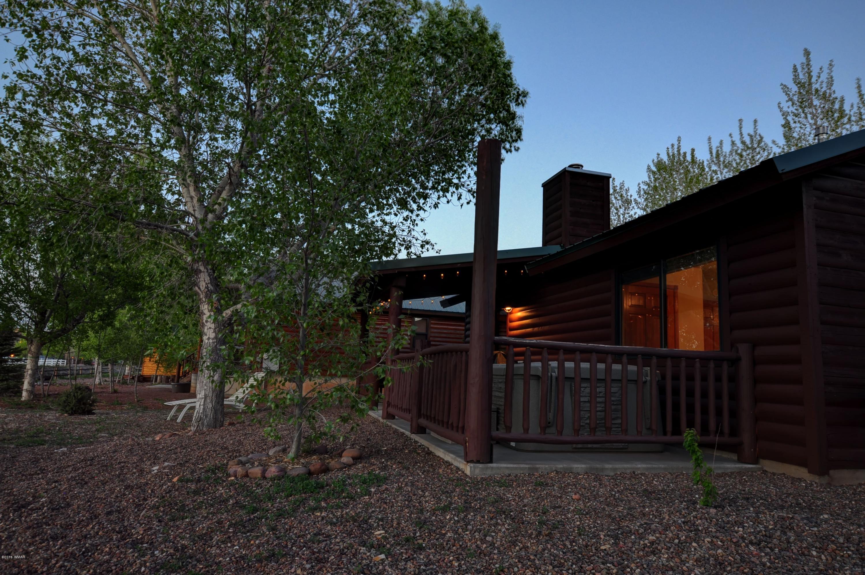 2330 Buffalo Loop Overgaard, AZ 85933 - Photo 18 of 28 Gallery Image 18