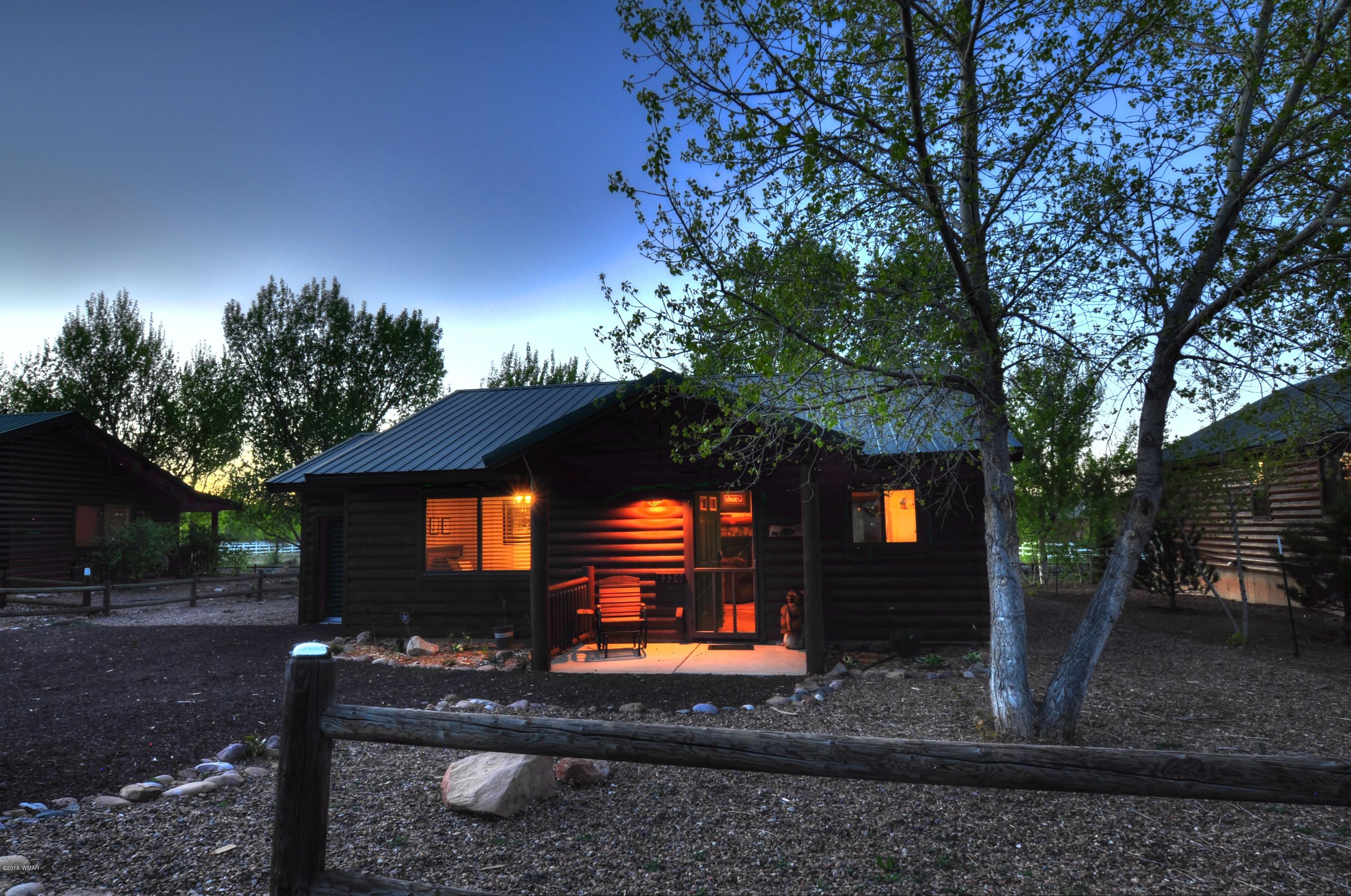 2330 Buffalo Loop Overgaard, AZ 85933 - Photo 20 of 28 Gallery Image 20
