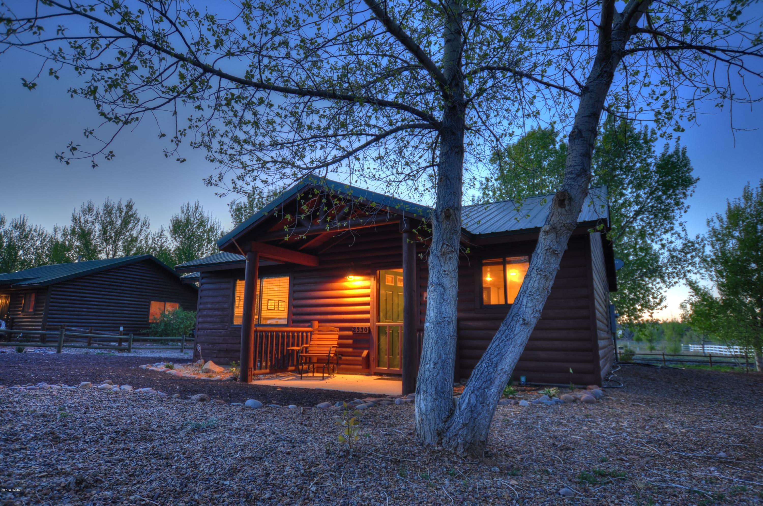2330 Buffalo Loop Overgaard, AZ 85933 - Photo 21 of 28 Gallery Image 21