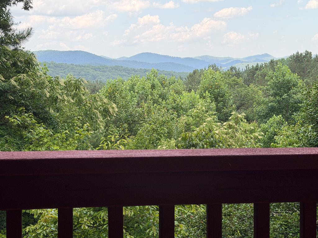 603 Red Berry Ridge Road Blue Ridge, GA 30513 - Photo 77 of 96 Gallery Image 77
