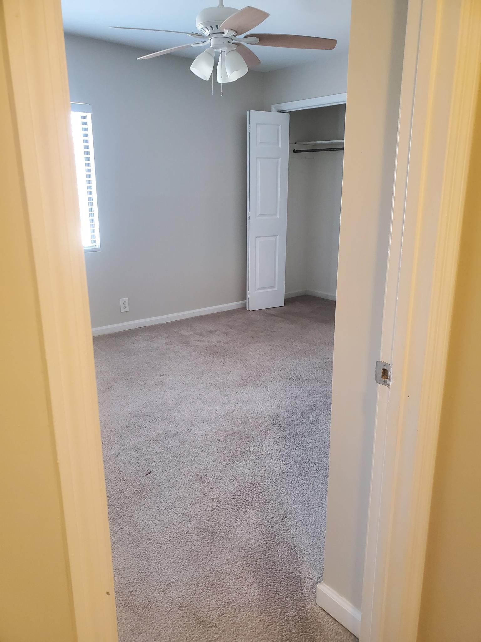155 Hicks Road Nashville, TN 37221 - Photo 7 of 15 Gallery Image 7