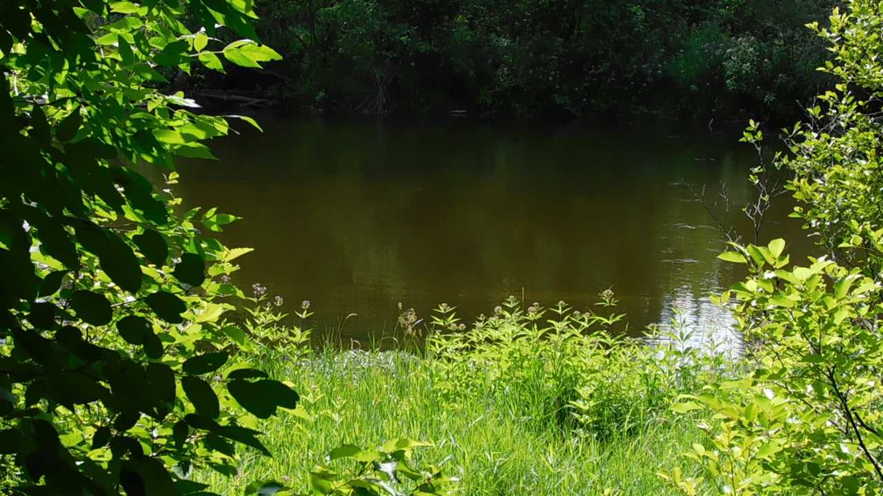 9834 Dutch John Road Fife Lake, MI 49633 - Photo 6 of 43 1878107-5.JPG